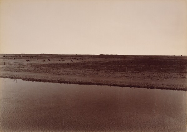 Carleton Watkins, View on the Calloway Canal, Near Poso Creek, Kern County