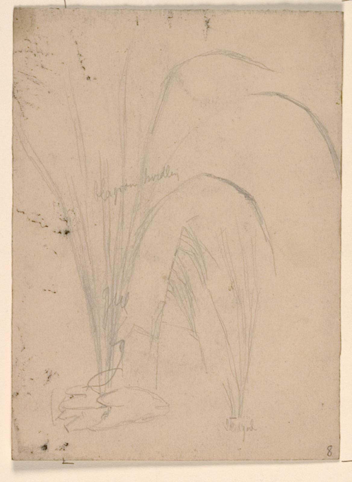 Niels Larsen Stevns, Plante