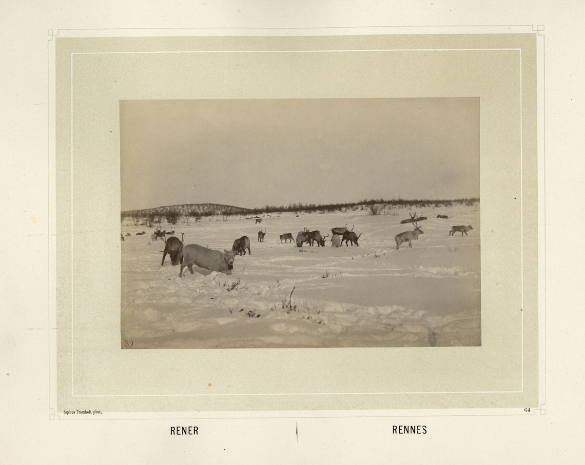 Sophus Tromholt, Billeder fra Lappernes Land/Tableaux du Pays des Lapons