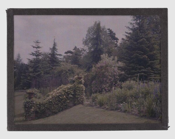 Unknown, Landscape study