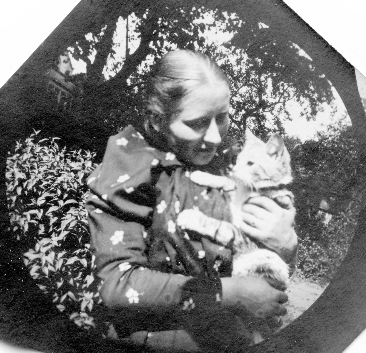 Fredrik Carl Mülertz Størmer, Professor Blytts stuepike og katt, Oslo. Kvinne med stripet katt på armen i hage.