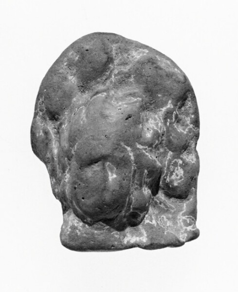 Unknown, Female Head