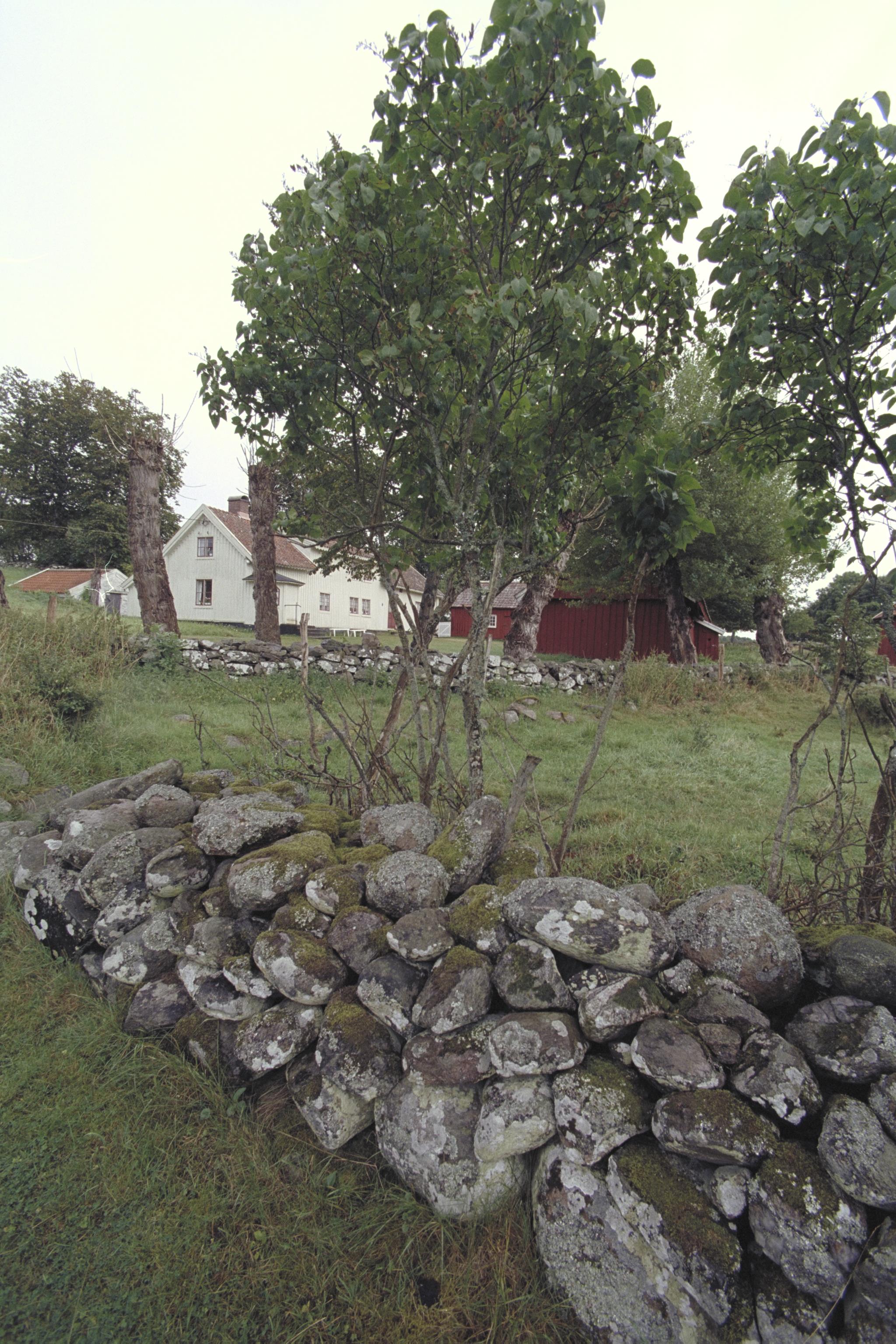 Bengt A Lundberg, Mårtagården