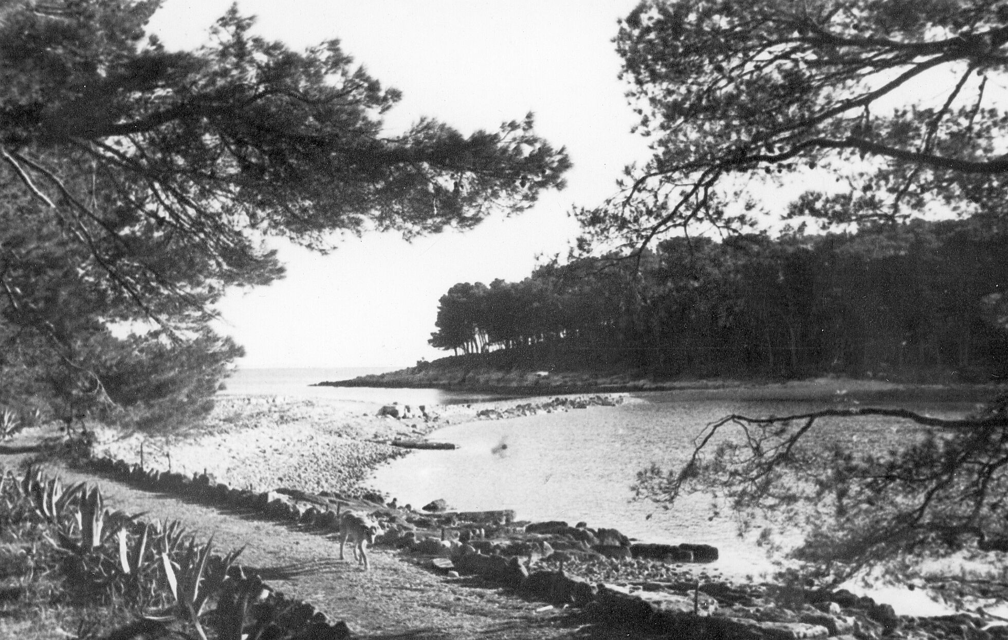 Branko Fučić, Sveti Andrija (Rovinj), preostaci ruševina rimske ili ranosrednjovjekovne zgrade u uvali Val Maschin; veći dio pod morskom razinom