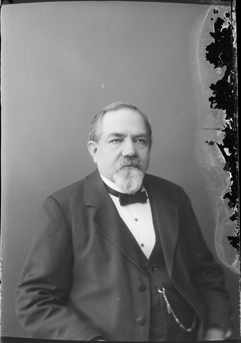 Skötsner-Edhlund, Ateljéporträtt - man, Östhammar, Uppland