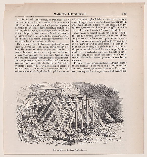 Charles Jacque, Mue anglaise, from "Le Magasin Pittoresque"