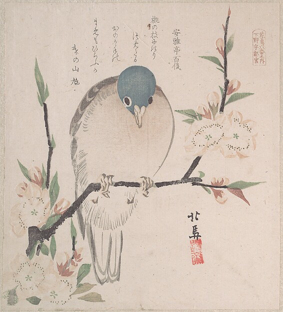 Teisai Hokuba, Spring Rain Collection (Harusame shū), vol. 3: Mountain Dove and Peach Flowers