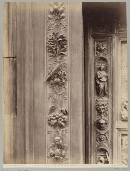 Fratelli Alinari, Photograph
