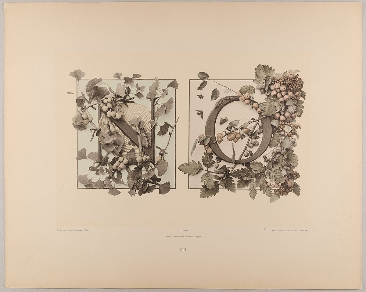 Martin Gerlach, XIII. Initiale N O mit Fächer und Ginkgo - Dorn, Eberesche und Früchten