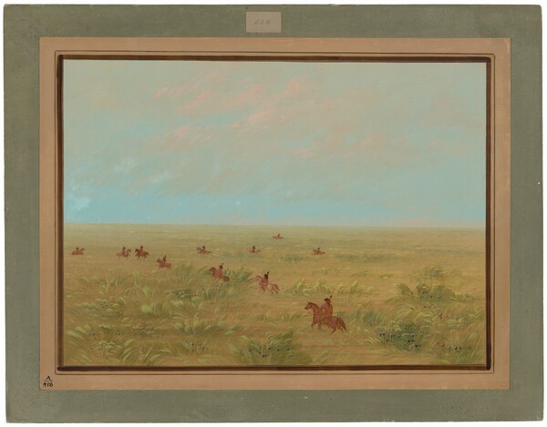 George Catlin, Driving the Pampas for Wild Cattle - Connibo