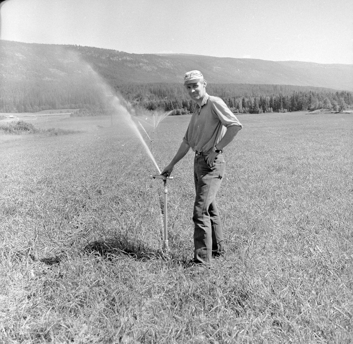 Adolf Skjegstad, ASK-03485