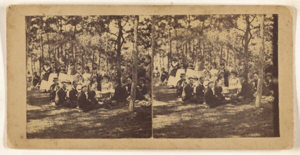 Unknown, [Large group of people picnicking on lawn]
