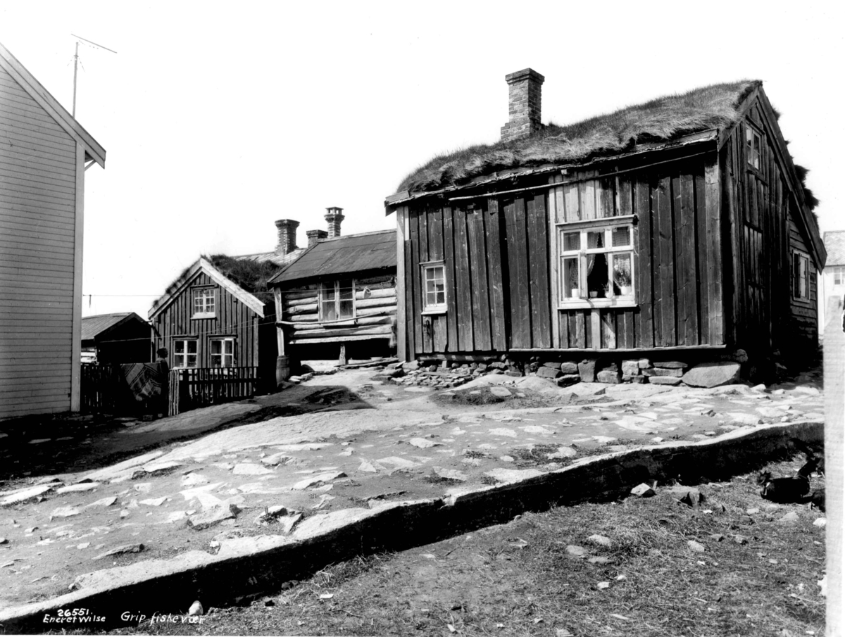 Anders Beer Wilse, Grip fiskevær