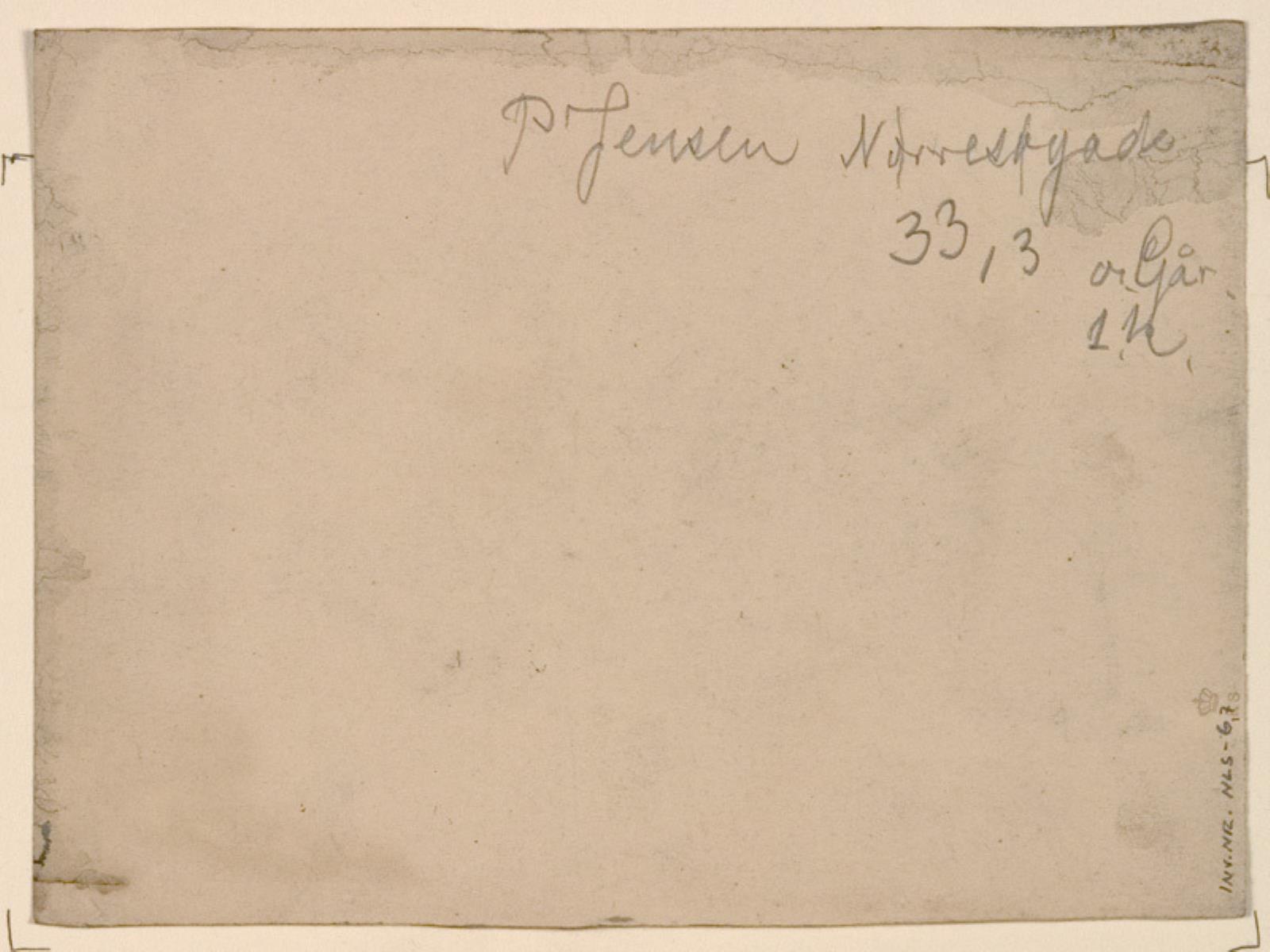 Niels Larsen Stevns, Blank