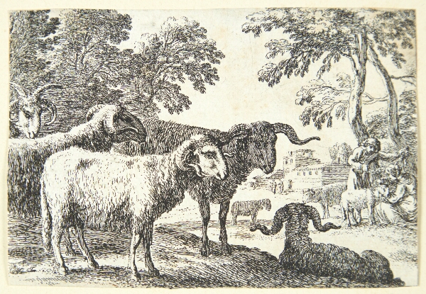 Herman van Swanevelt, Væddere