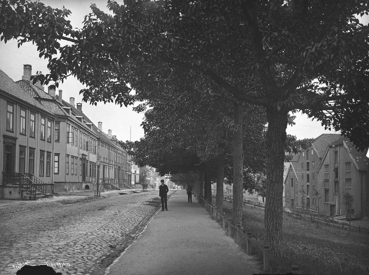 Axel Lindahl, Prot: Trondheim Kjøbmandsgaden