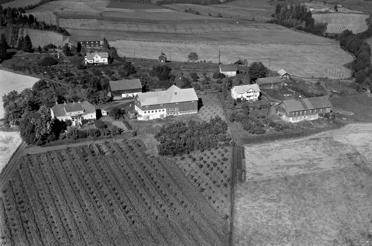 Anno Domkirkeodden, Flyfoto, gardsbruk, frukttrær, Kaulum, Nes, Hedmark.