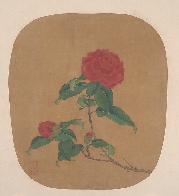 Unidentified artist, Camellia Flowers
