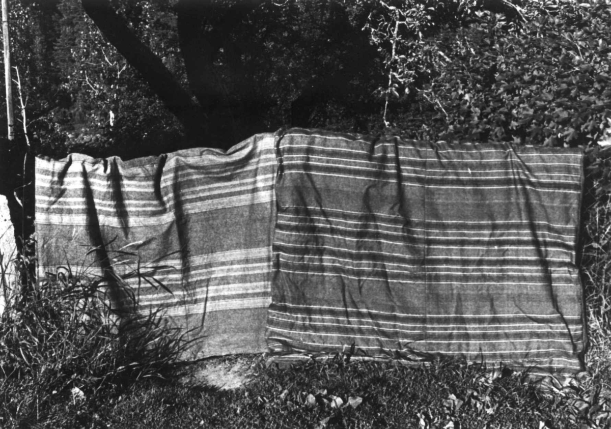Anna Grostøl, Dyner på Haddeland. Fjotland, Kvinesdal, Vest-Agder 1941.