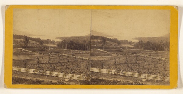 Edward and Henry T. Anthony & Co., View of Lake George from the South. [Lake George, N.Y.]