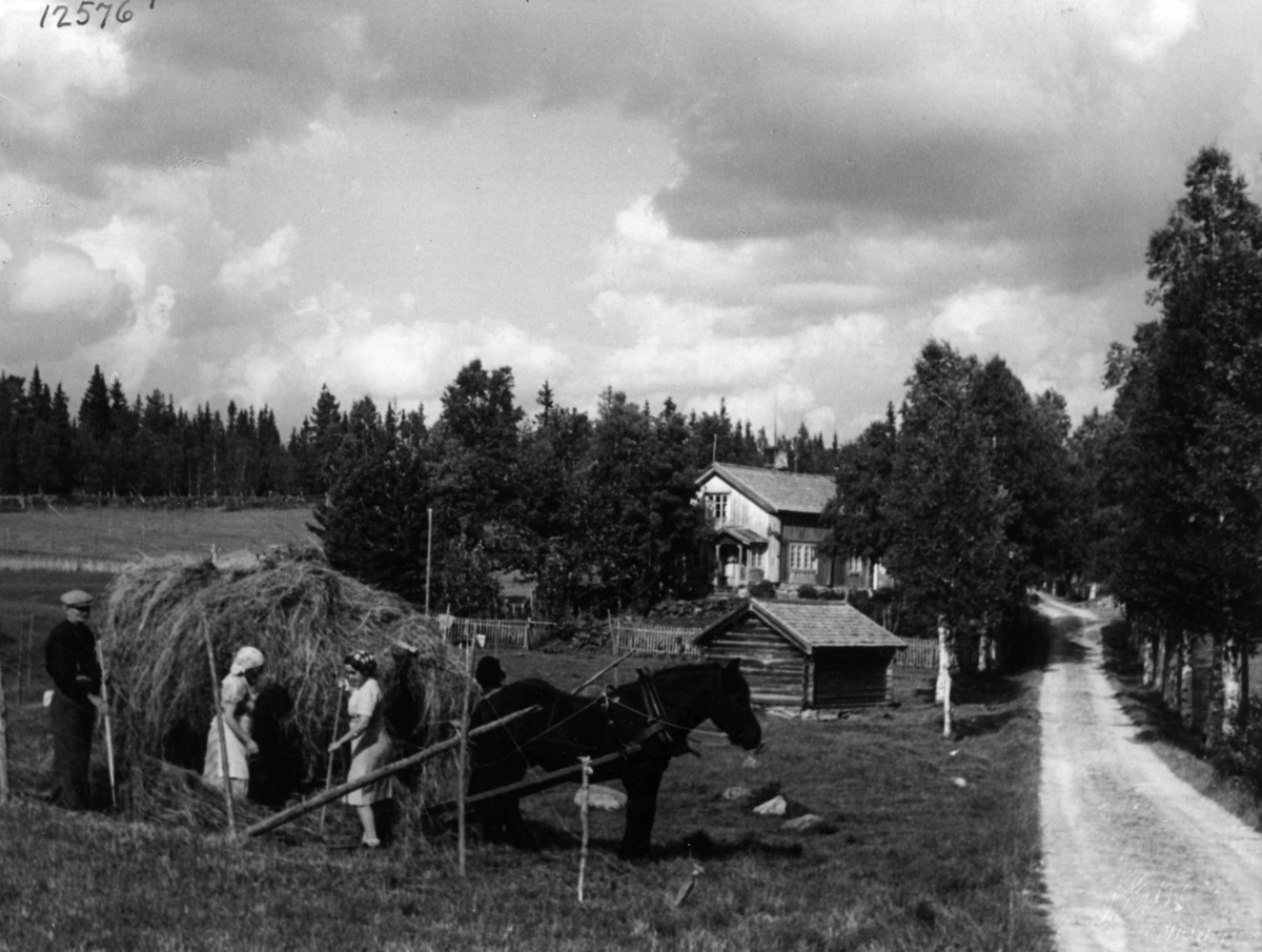 Anders Beer Wilse, Landbruk Bolig Samferdsel Vei Ljørdalen
