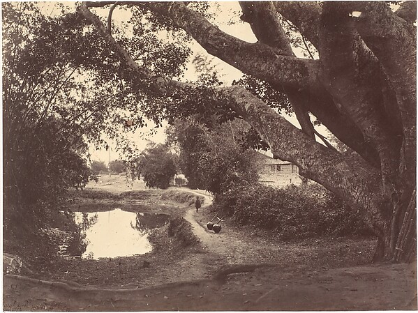 John Thomson, Village Road North River