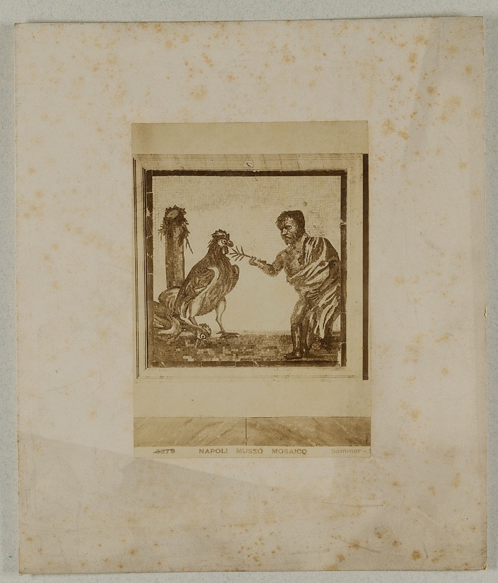 Giorgio Sommer, 6379 Napoli - Museo Mosaico