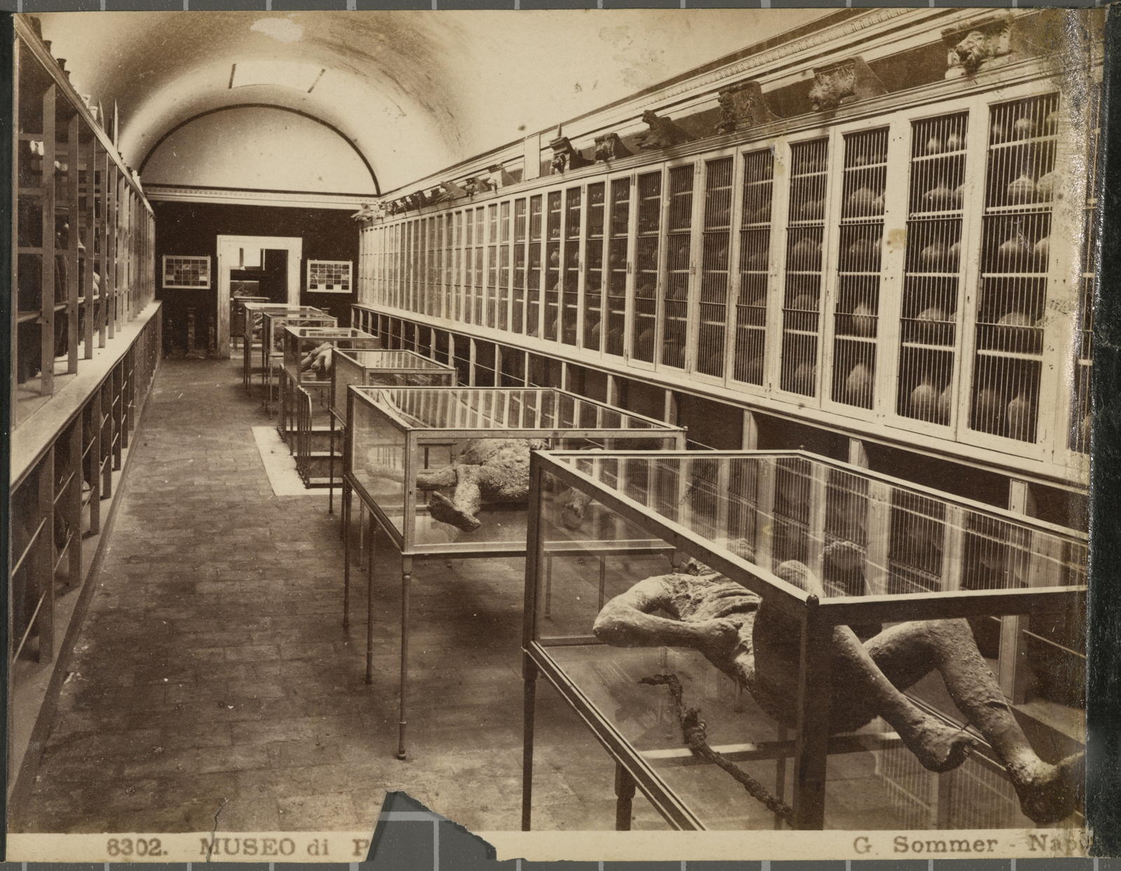 Desconegut, Museo di Pompeia