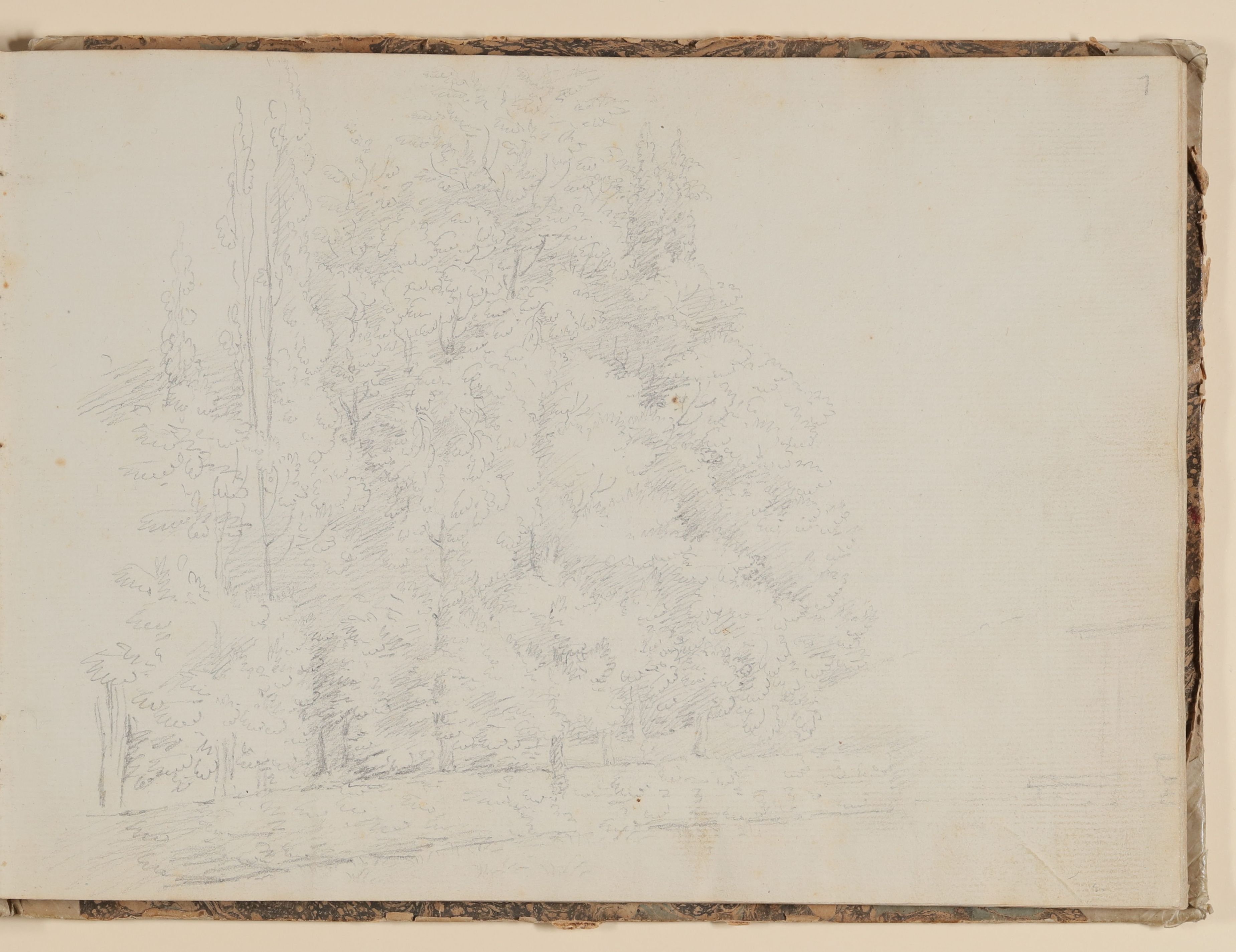 Rosette Städel, Baumgruppe in einem Park [aus einem Skizzenbuch der Rosette Städel, Blatt 1]