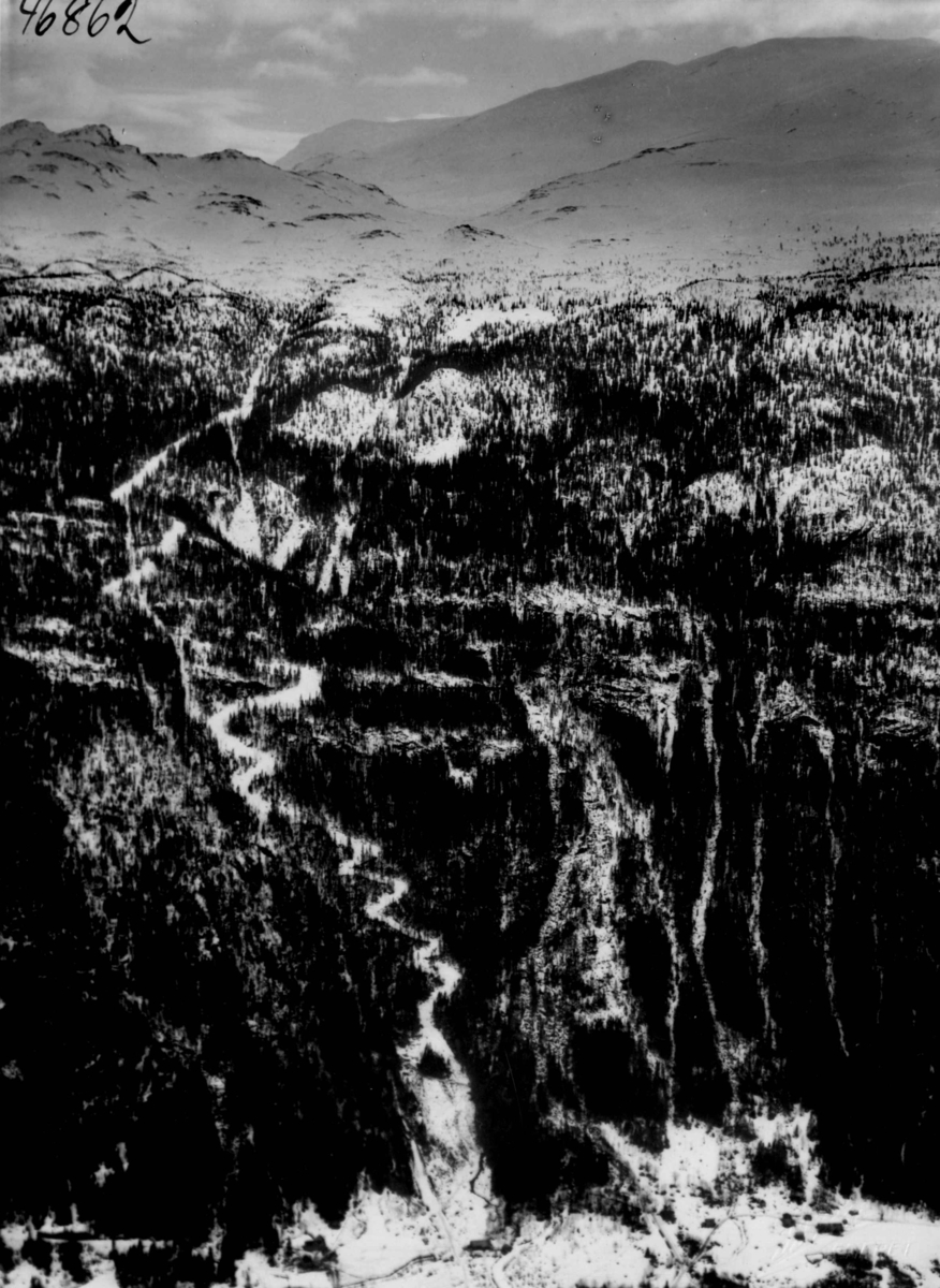 Anders Beer Wilse, Fjellside med skog og slalåmbakke i Vestfjorddalen.