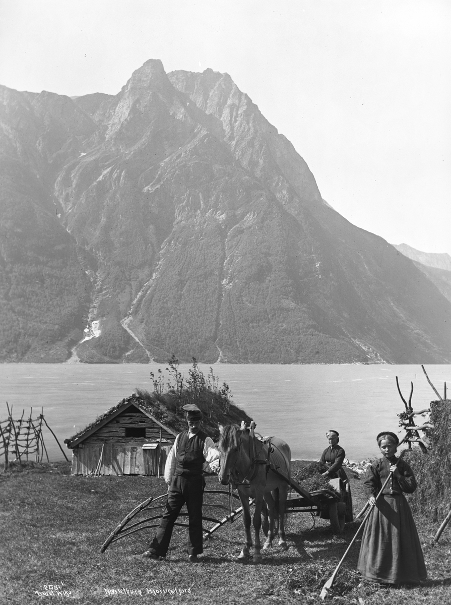 Axel Lindahl, "Prot: Søndmøre Næssethorn i Hjørundfjord