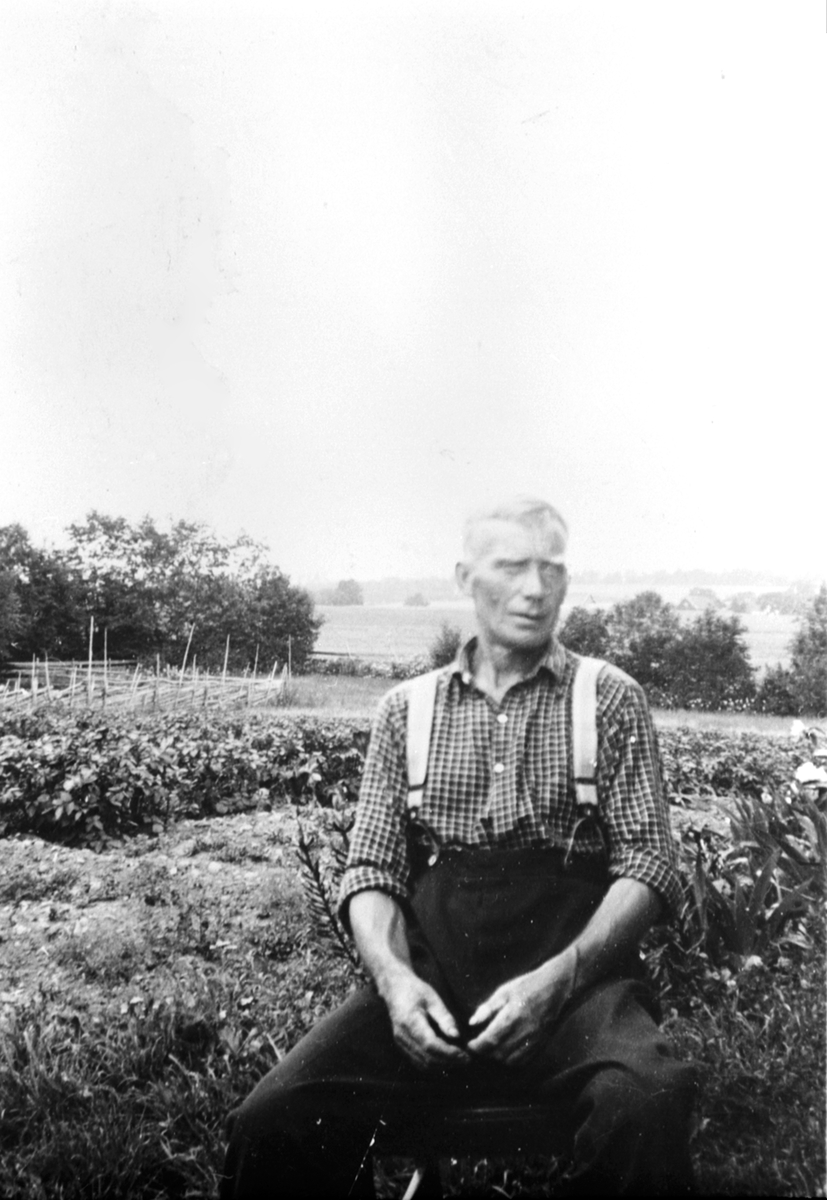 Anno Domkirkeodden, Petter Pedersen Lier (1885-1946) husmann på Hanastad under Hovinsholm, Helgøya.