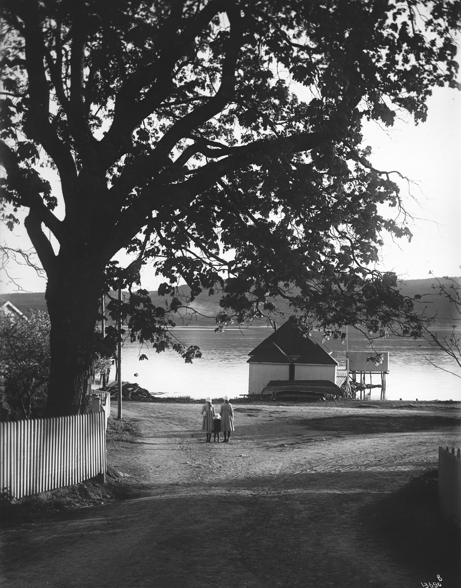 Anders Beer Wilse, Konv: Fred Olsens villa, Udsigt