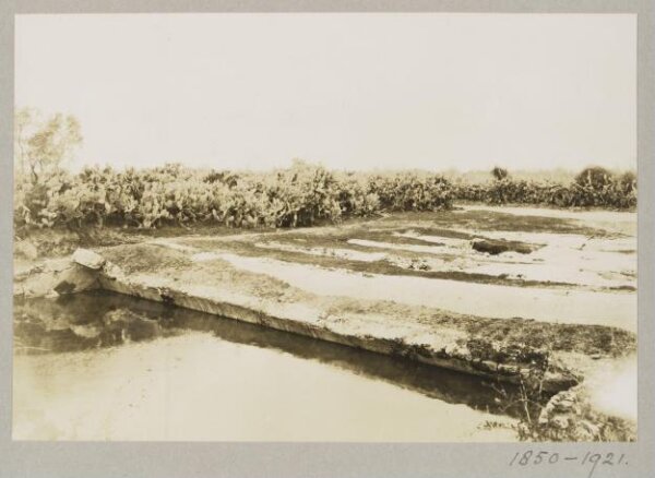 K.A.C. Creswell, Photograph