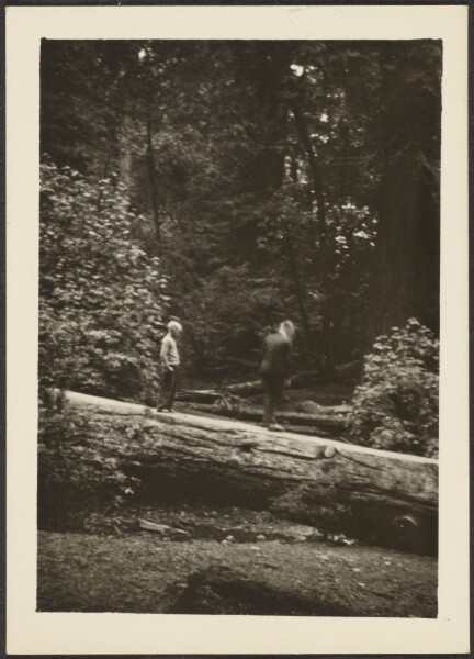 Louis Fleckenstein, [Figures on Fallen Tree]