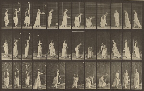 Eadweard J. Muybridge, Animal Locomotion