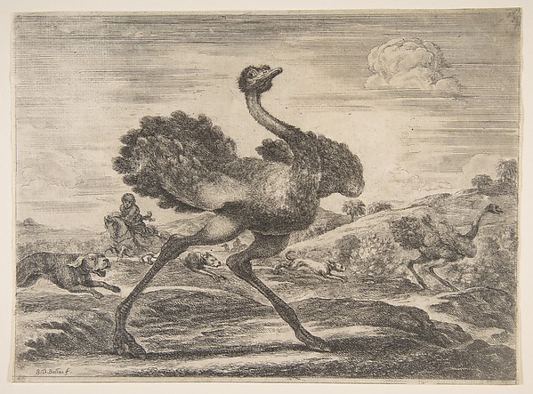 Stefano della Bella, Ostrich hunt, from 'Animal hunts' (Chasses à différents animaux)