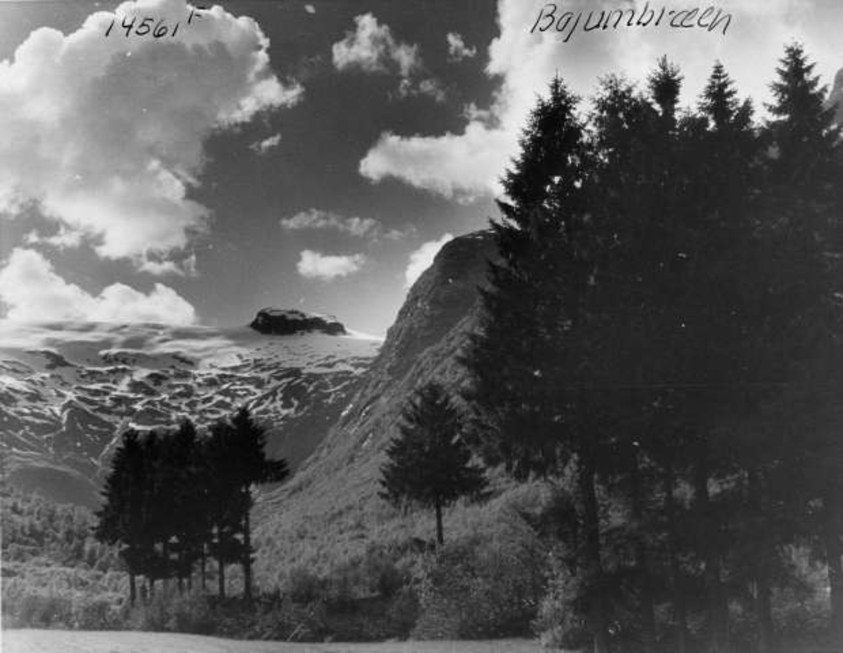 Anders Beer Wilse, -6561