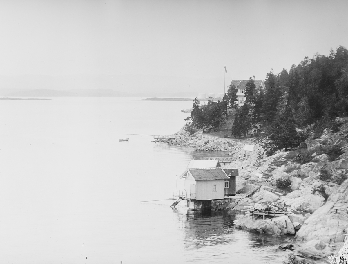 Anders Beer Wilse, Prot: Ingr Trygve Hansens Villa - Nesodlandet