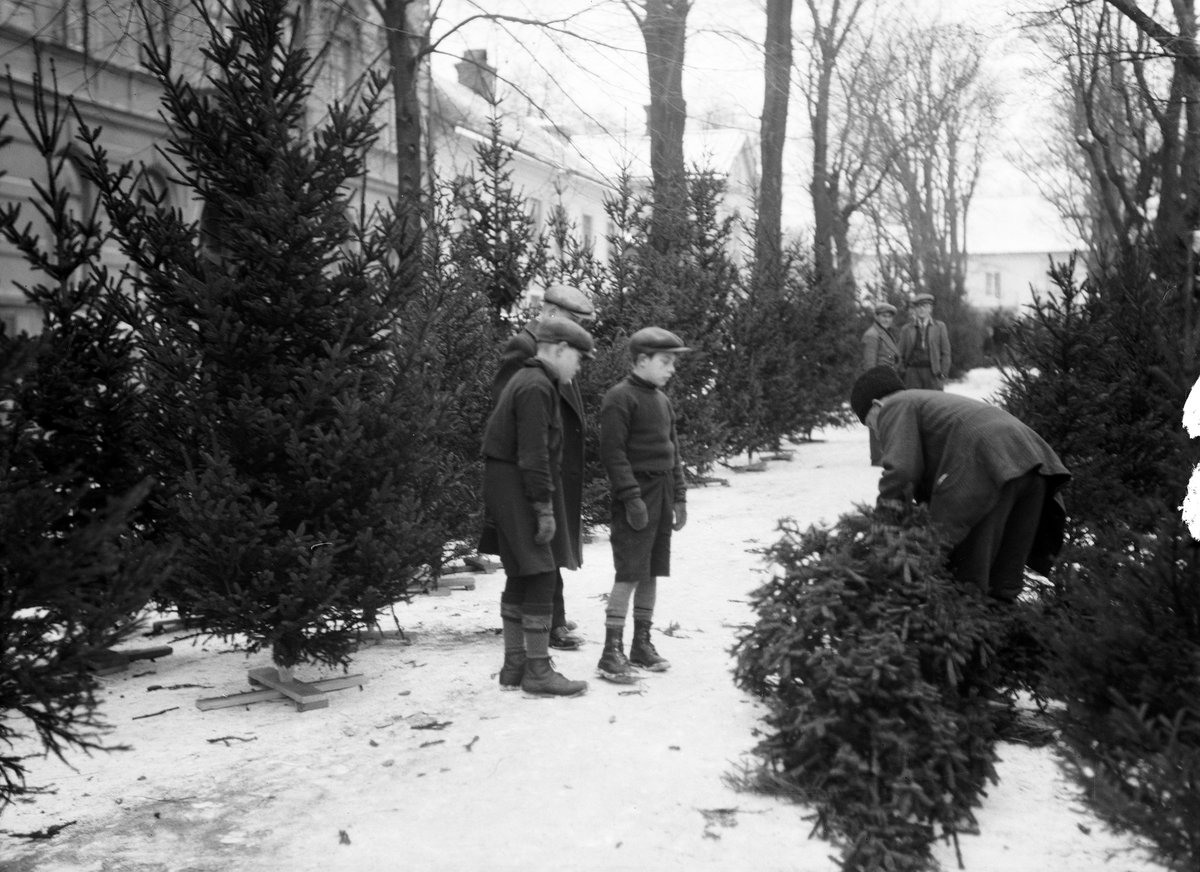 Paul Sandberg, Julgransförsäljning vid Skolgatan, Uppsala 1934