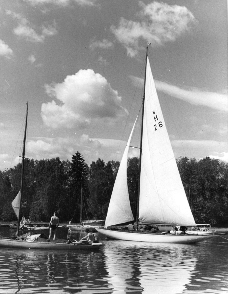 Anders Beer Wilse, Seilsport
