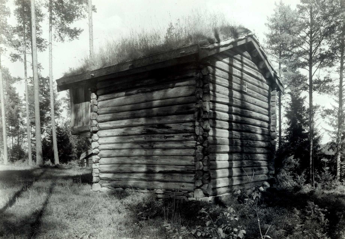 Gisle Midttun, Tømmerøya, Folldal, Nord-Østerdal, Hedmark. Loftbu sett fra siden. Nå på Glomdalsmuseet.