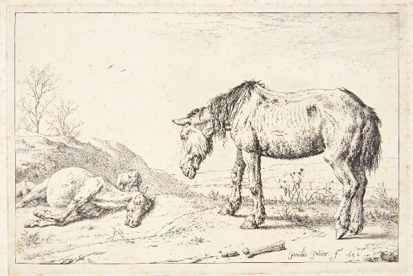 Paulus Potter, To øg