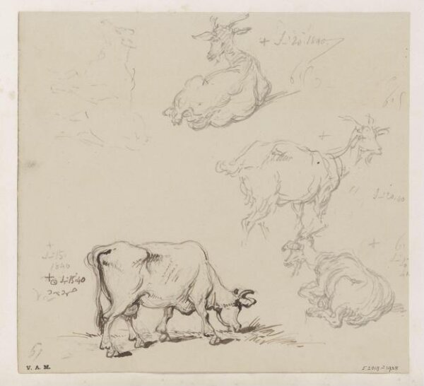 George Chinnery, Cows and goats
