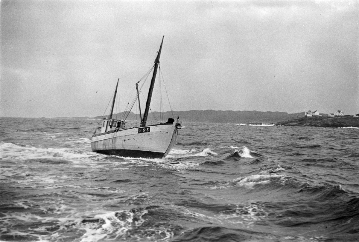 Anders Beer Wilse, Prot: Sildefiske paa havet