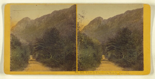 Benjamin West Kilburn, View in Franconia Notch, Autumn.