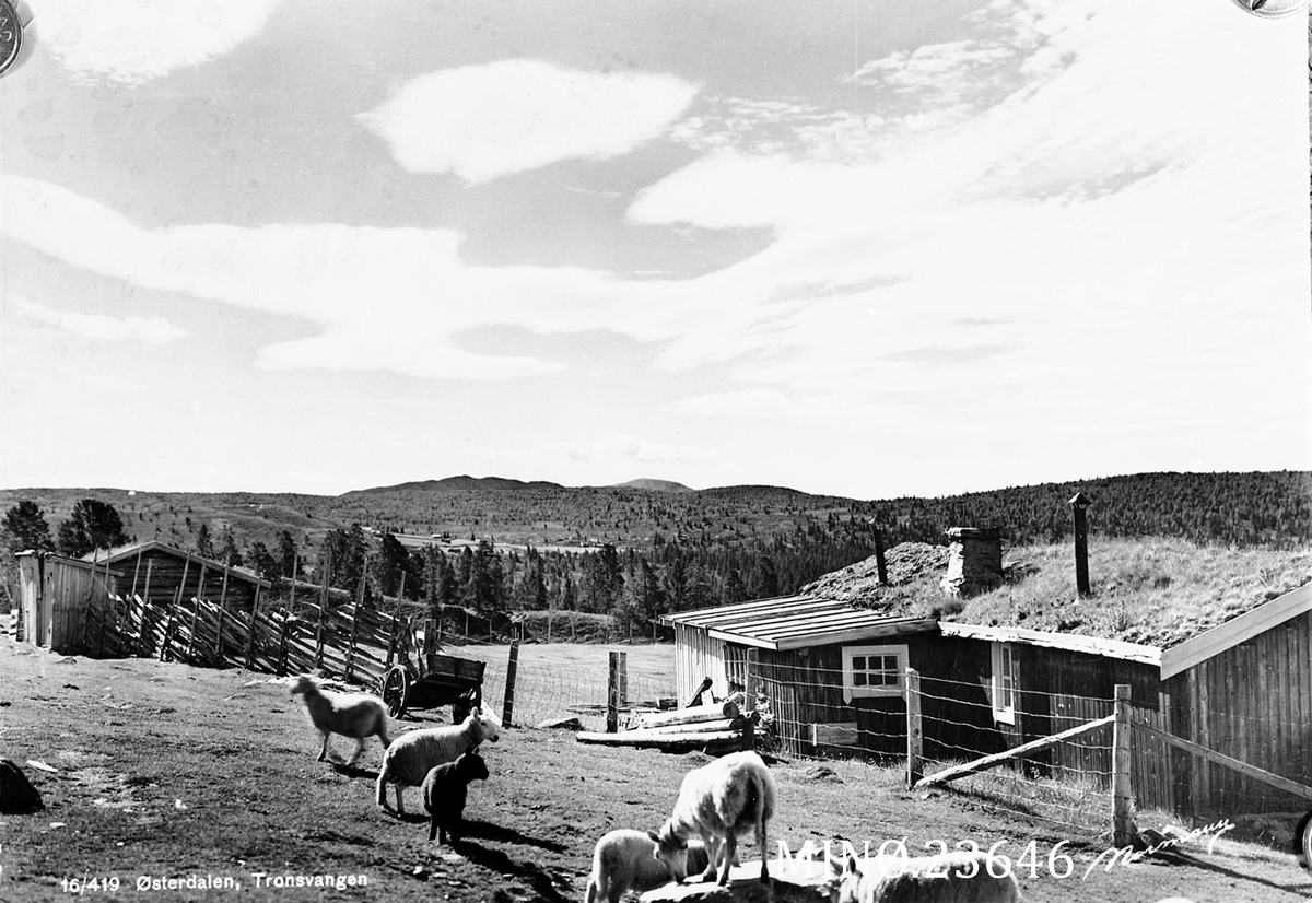 Carl Gustav Normann, Seter. Østerdalen, Tronsvangen
