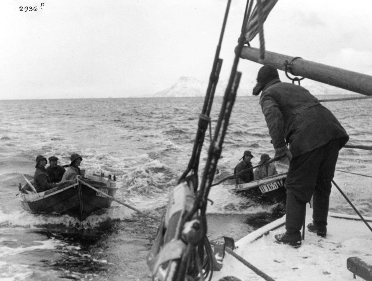 Anders Beer Wilse, Redningsskoyter