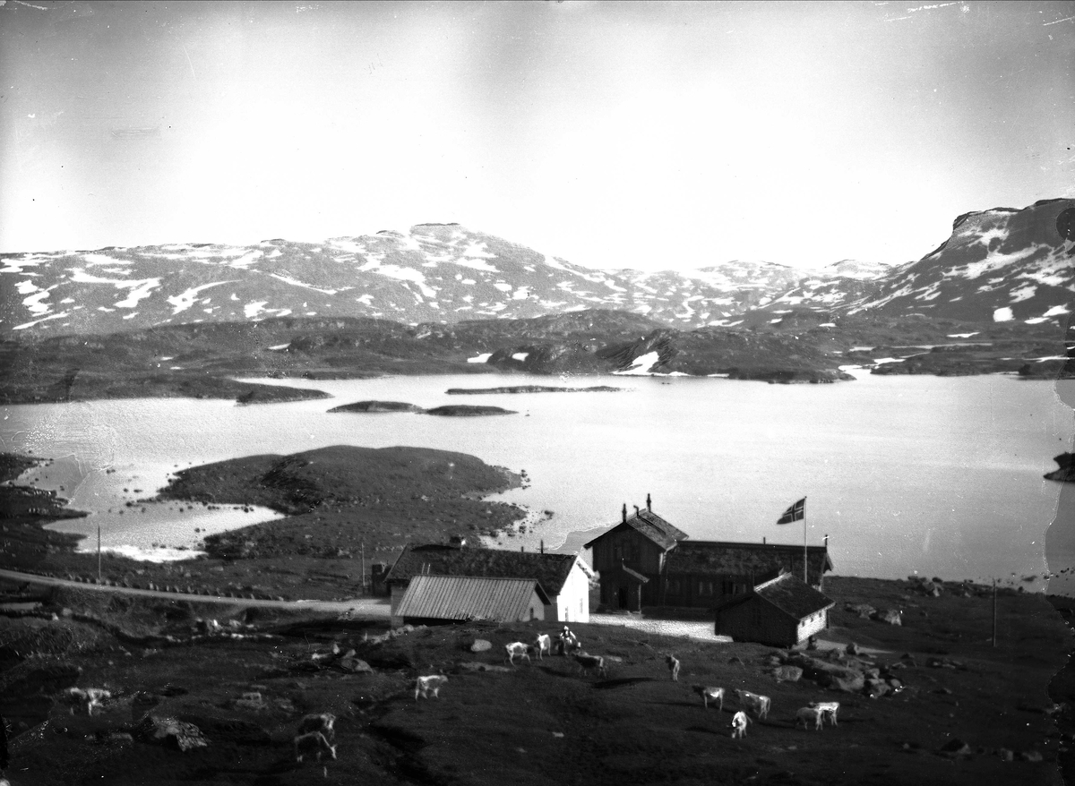 Solveig Lund, Landskapsfotografi. Høyfjell og vann og bebyggelse. Kuene gresser.