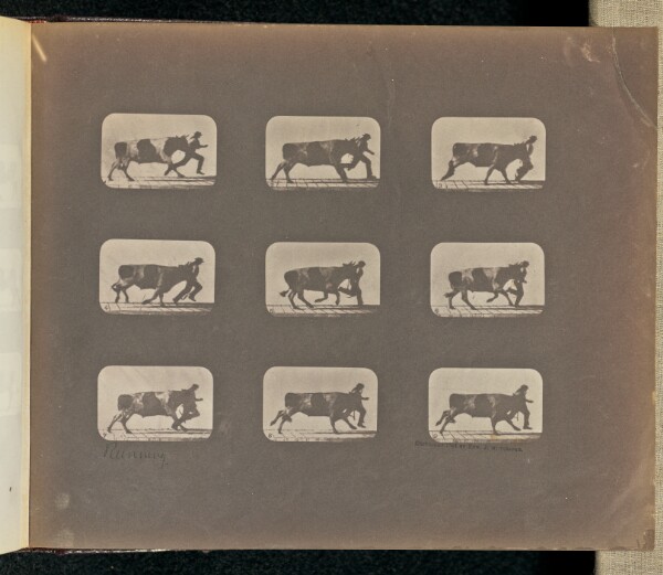 Eadweard J. Muybridge, Running
